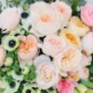 Meet your Posher, Vicki